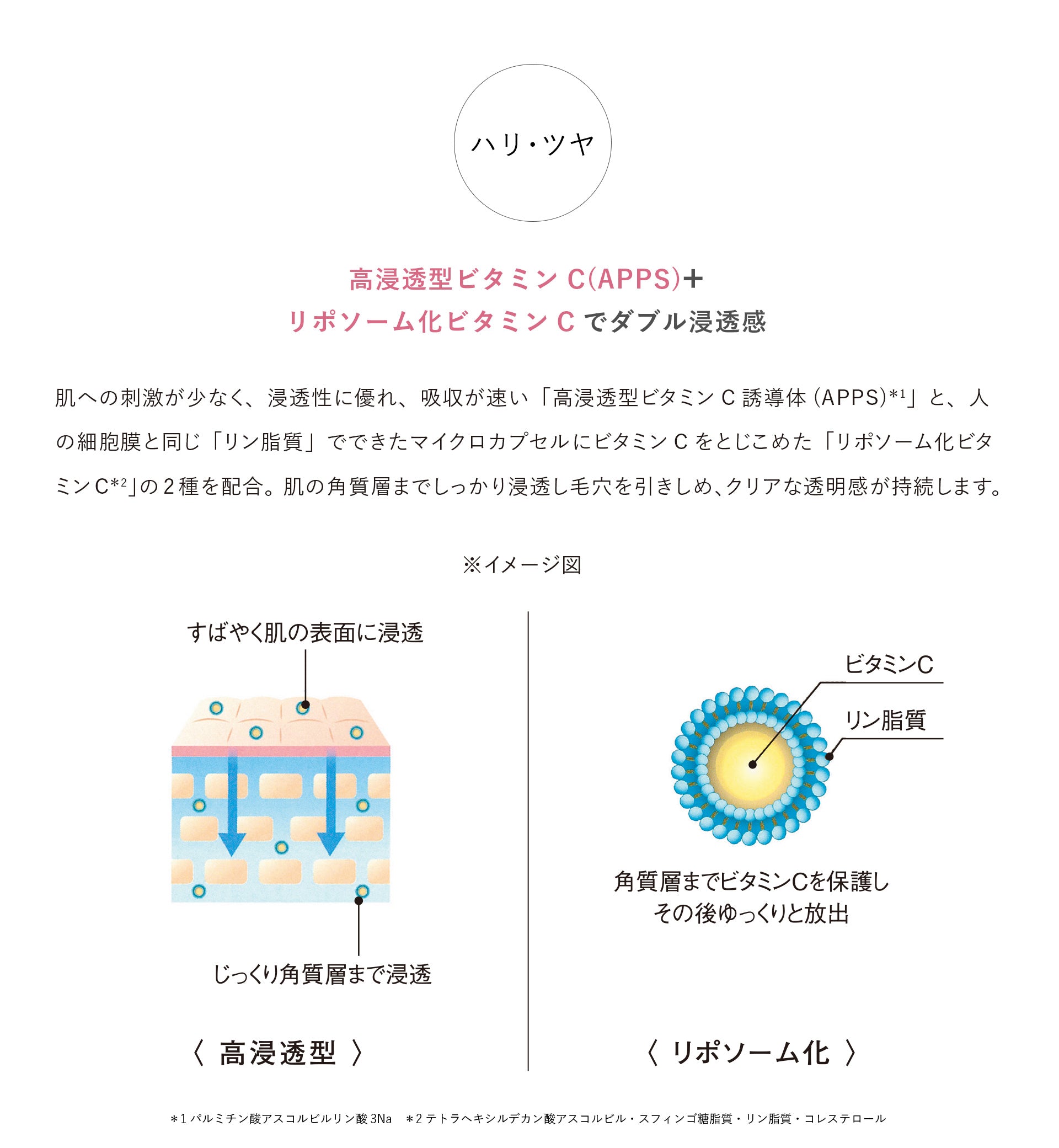 艶肌ジェルクリーム – 美人COMPANYオンラインショップ