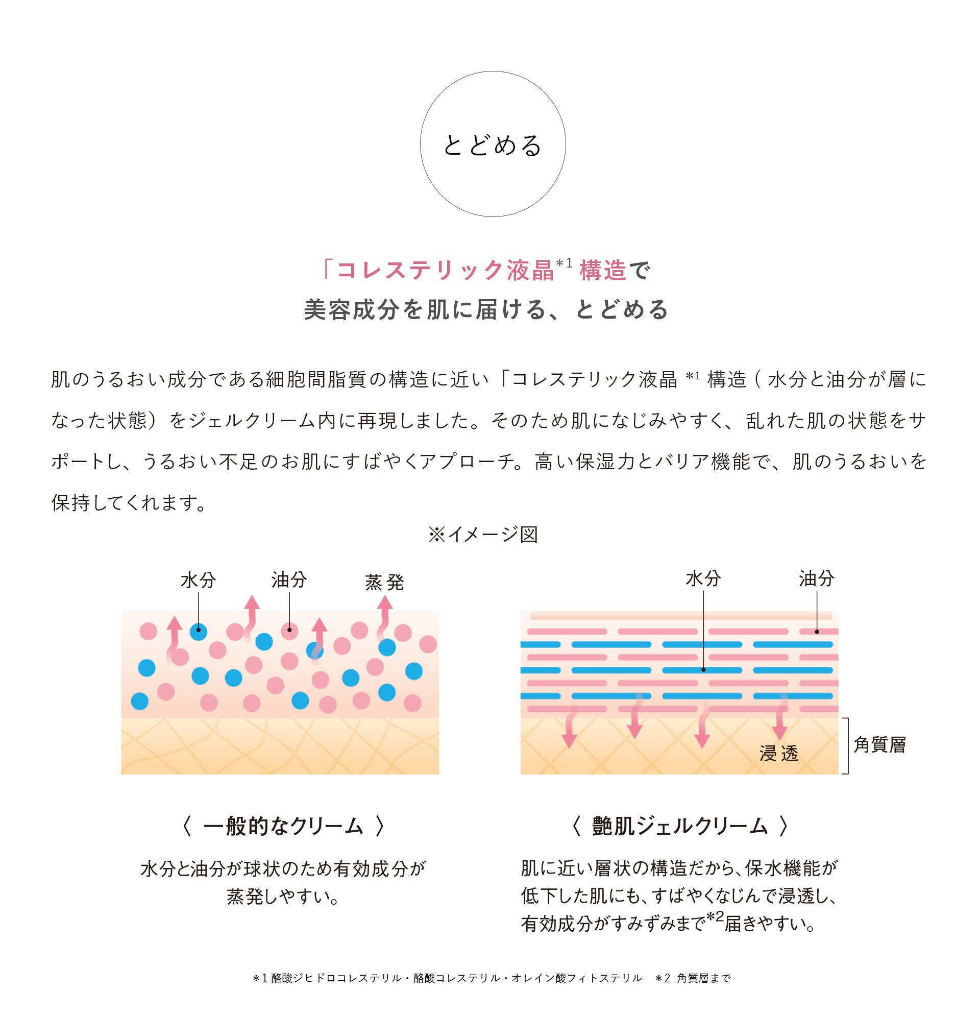 艶肌ジェルクリーム – 美人COMPANYオンラインショップ