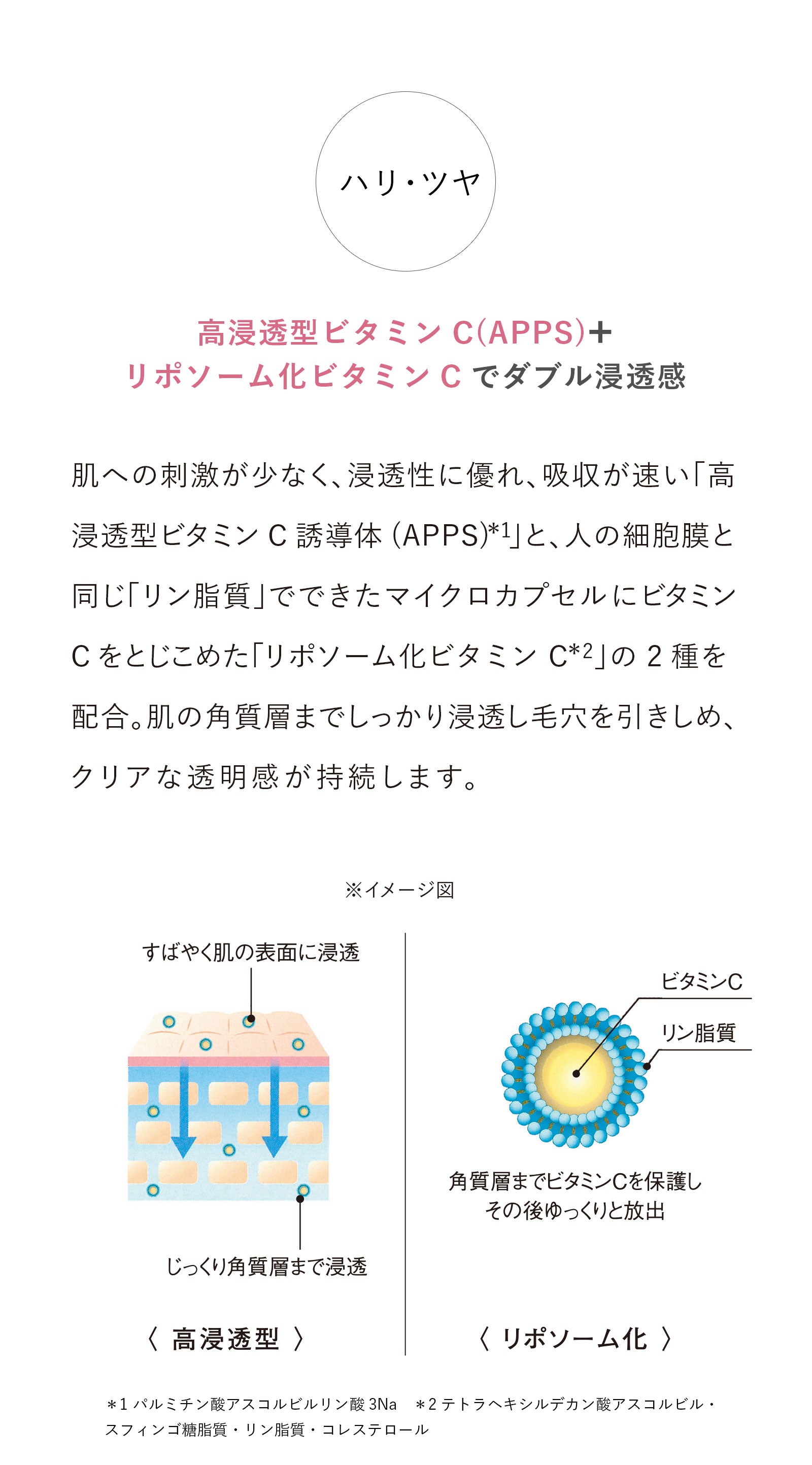 艶肌ジェルクリーム – 美人COMPANYオンラインショップ
